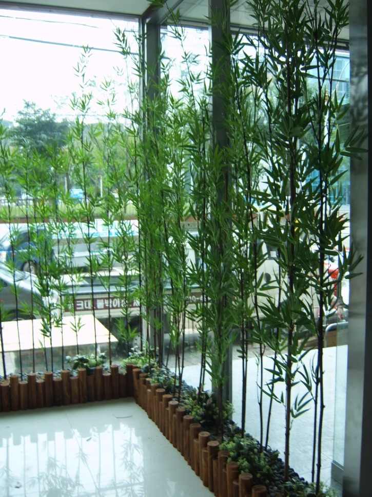 KakaoTalk_20250218_144246630.jpg