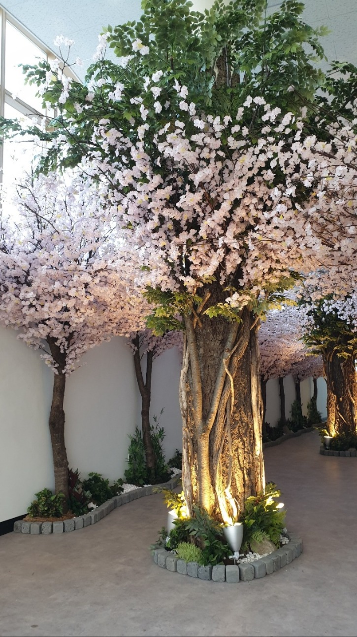 KakaoTalk_20250218_143928874_01.jpg