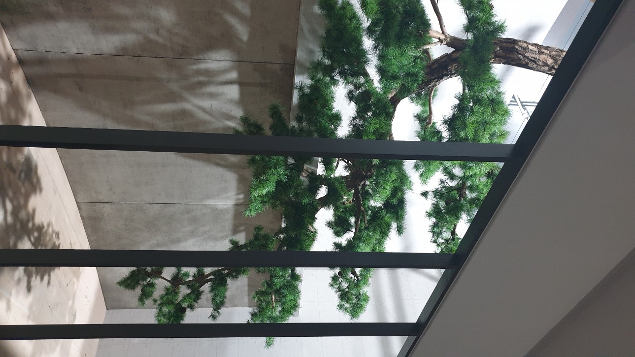 20210608_131841.jpg