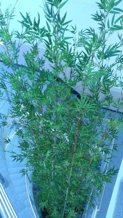 KakaoTalk_20250218_144246630_19.jpg